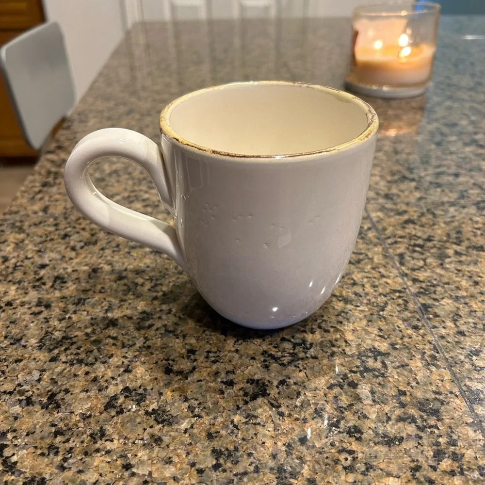 Sur La Table Owl Design Mug - Blue and Brown